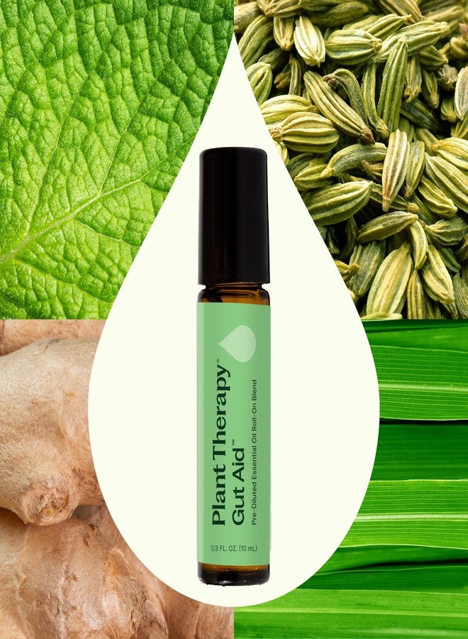 Plant Therapy Gut Aid Essential Oil Blend Roll-On 10 mL (1/3 oz) 100% Pure, Pre-Diluted Roll-On, Natural Aromatherapy - Image 3